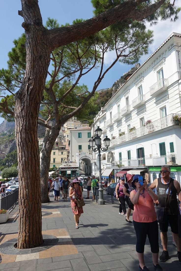 La Strada della Giraffa: Un Gioco di Casinò Diventato Popolare in Italia - panoramica