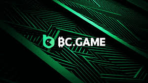 Discovering the Unique Features of the BC.CO Platform