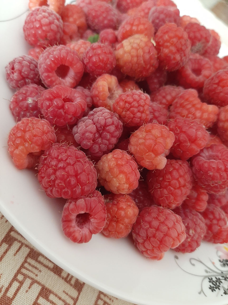 Malină (zmeura)de vinzare