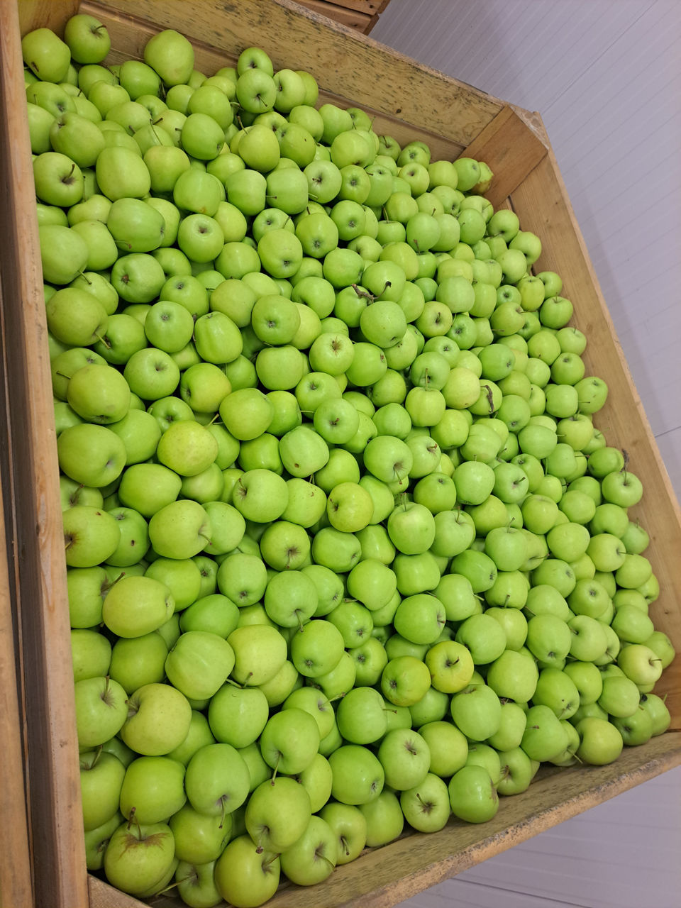 Vind mere golden calibru 60-70