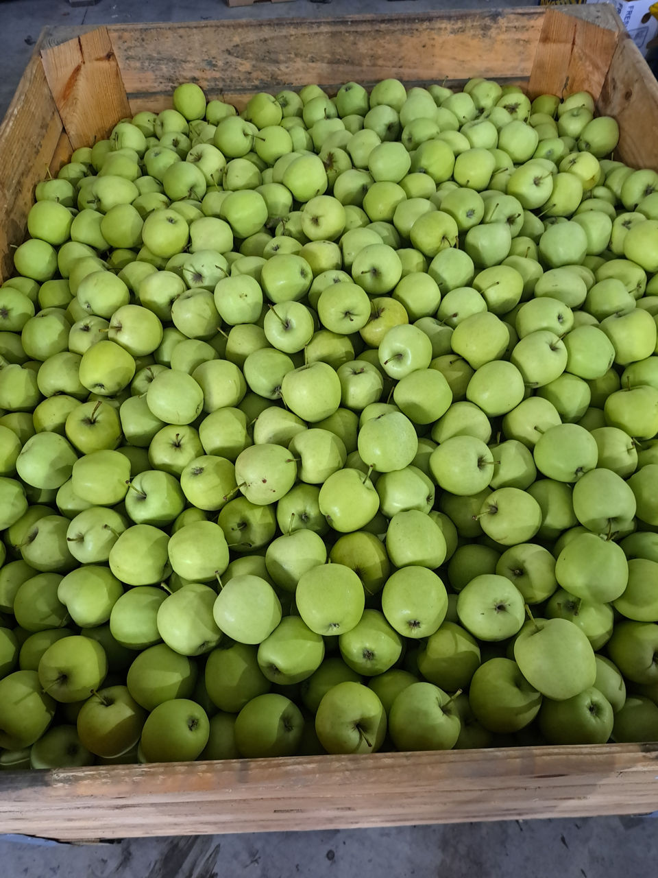 Vind mere golden calibru 60-70